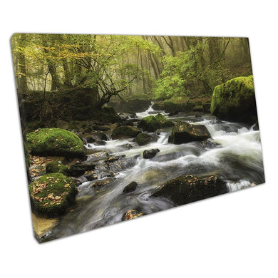 Misty morning at Golitha Falls on Bodmin Moor in Cornwall Ready to Hang Wall Art Print Picture For Home Office Decor