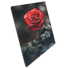 Laad de afbeelding in galerijviewer, Canvas Print Red Rose Ready to Hang Wall Art Print On Canvas Picture For Home Office Decor

