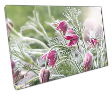 Canvas Print wild flowers wall art Ready to Hang Print Picture For Home Office Decor