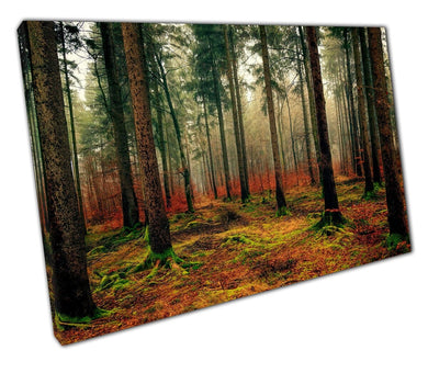 Canvas Print Red Forest wall art Ready to Hang Print Picture For Home Office Decor