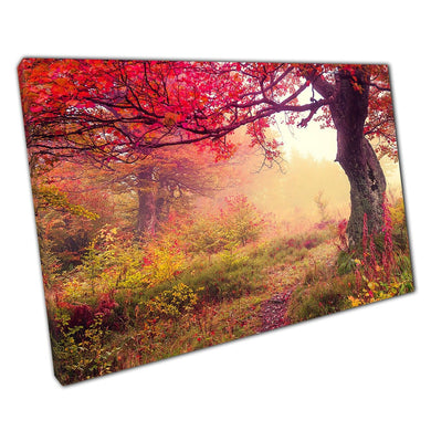 Mystical Autumnal Forest Landscape Carpathian Ukraine Europe Wall Art Print On Canvas Picture For Home Office Decor