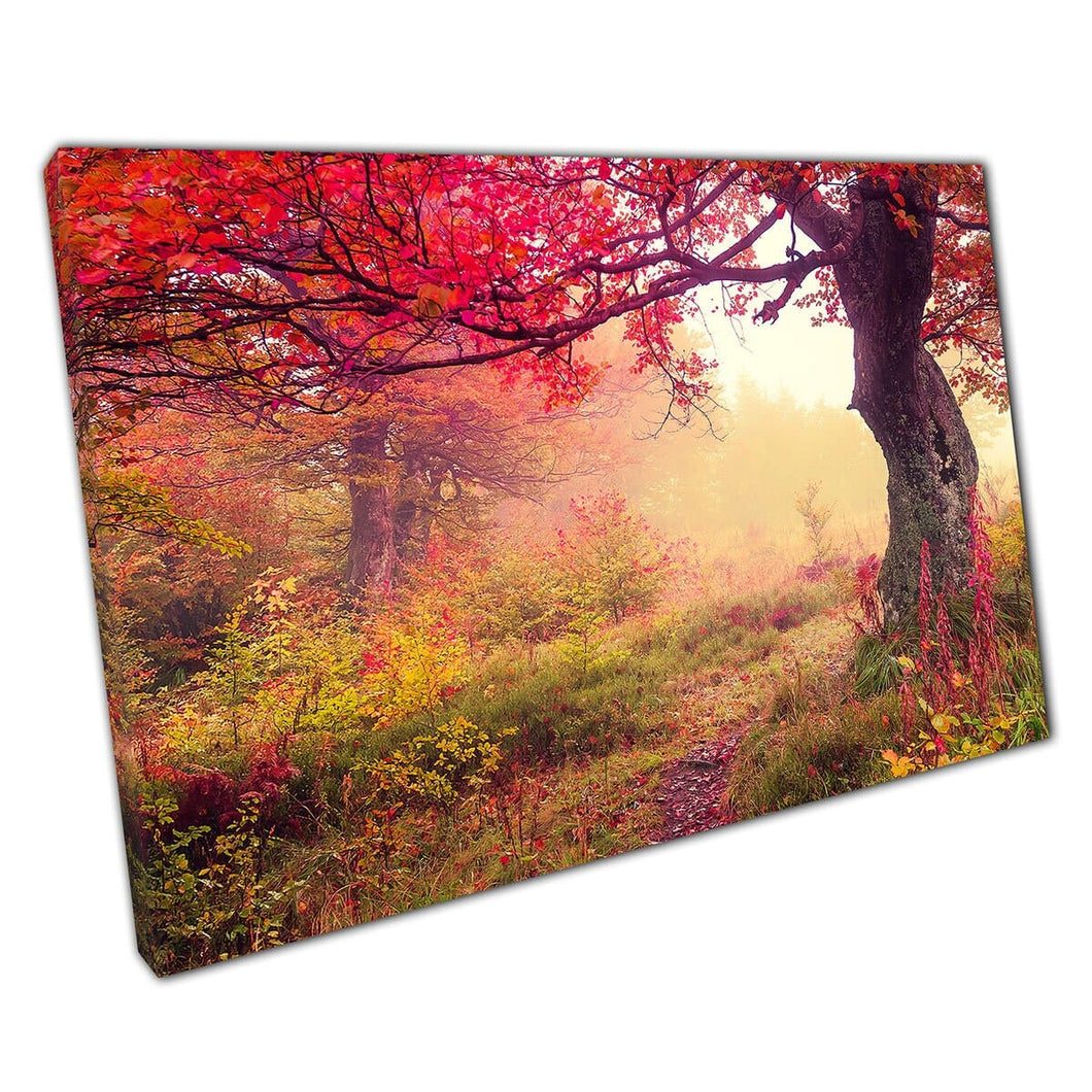 Mystical Autumnal Forest Landscape Carpathian Ukraine Europe Wall Art Print On Canvas Picture For Home Office Decor