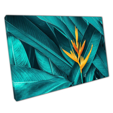 Colourful Exotic Yellow Flower On Dark Teal Foliage Canvas Wall Art Print On Canvas Picture For Home Office Decor