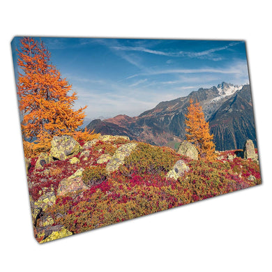 Autumnal Orange Larch Trees On The Hill Of Vallon De Berard Nature Preserve France Wall Art Print On Canvas Picture For Home Office Decor
