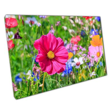 Multicolour Mixed Vibrant Flower Meadow Wall Art Print On Canvas Picture For Home Office Decor
