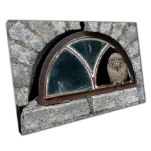 Laad de afbeelding in galerijviewer, Curious Little Owl In Broken Window Of Abandoned House Netherlands Wall Art Print On Canvas Picture For Home Office Decor
