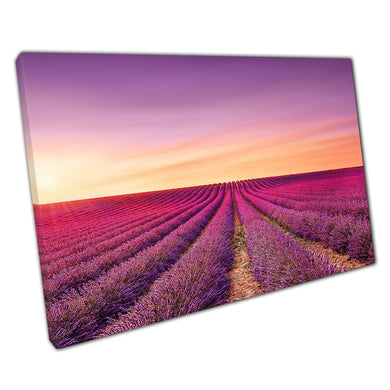 Lavender Flower Fields At Sunset Valensole France Europe Canvas Wall Art Print On Canvas Picture For Home Office Decor
