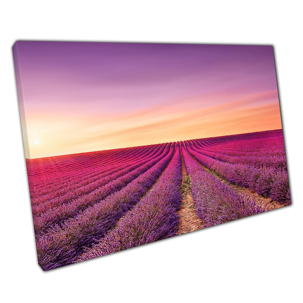Lavender Flower Fields At Sunset Valensole France Europe Canvas Wall Art Print On Canvas Picture For Home Office Decor