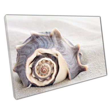 Beautiful Seashell On White Sandy Beach Wall Art Print On Canvas Picture For Home Office Decor