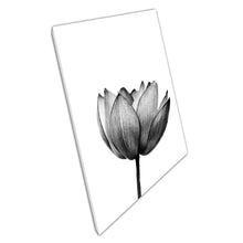 Load image into Gallery viewer, Stunning Detailed Lotus Flower Black And White Delicate Nature Photography Wall Art Print On Canvas Picture For Home Office Decor
