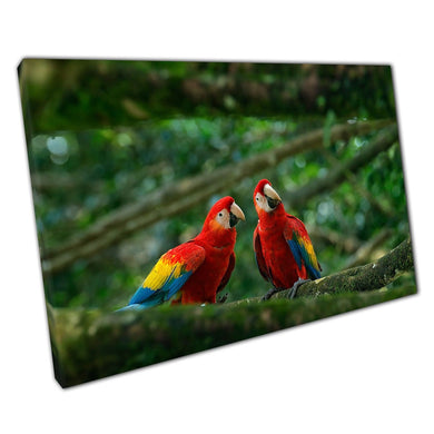Couple Of Large Scarlet Red Macaw Birds Perched On A Tree Branch Tropical Wildlife Brazil Art Print On Canvas Picture For Home Office Decor