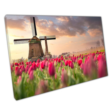 Beautiful Field Of Pink Tulips Surrounding Windmill Near Lisse Netherlands Wall Art Print On Canvas Picture For Home Office Decor