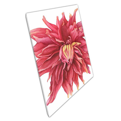 Beautiful Soft Close Up Of Pink Yellow Dahlia Flower Watercolour Illustration Wall Art Print On Canvas Picture For Home Office Decor