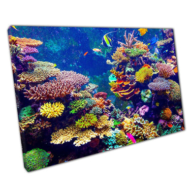 Colourful Coral Reef Filled With Tropical Fish Within Singapore Aquarium Underwater Wall Art Print On Canvas Picture For Home Office Decor
