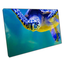 Laad de afbeelding in galerijviewer, Big Turtle Calmly Swimming Through Blue Green Water Underwater Sea Life Photography Wall Art Print On Canvas Picture For Home Office Decor
