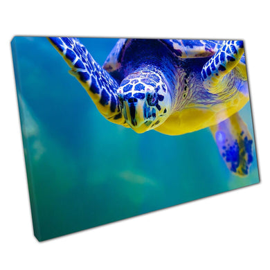 Big Turtle Calmly Swimming Through Blue Green Water Underwater Sea Life Photography Wall Art Print On Canvas Picture For Home Office Decor