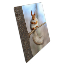 Laad de afbeelding in galerijviewer, Cute Red Squirrel With Fluffy Tail Perched On A Tree Branch On A Sunny Winters Day Wall Art Print On Canvas Picture For Home Office Decor
