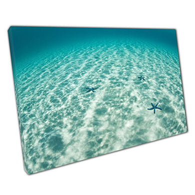 Blue Starfish Relaxing On The Sandy Seafloor In A Shallow Bay Komodo Island Indonesia Wall Art Print On Canvas Picture For Home Office Decor