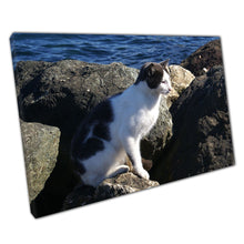 Laad de afbeelding in galerijviewer, Cat Perched On Seashore Rocks Enjoying The Fresh Sea Breeze Funny Animal Seascape Wall Art Print On Canvas Picture For Home Office Decor
