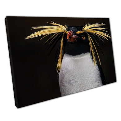 Majestic Southern Rockhopper Penguin Looking Into The Distance Wild Animal Wall Art Print On Canvas Picture For Home Office Decor