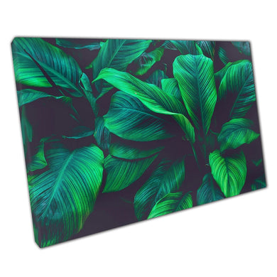 Exotic Vibrant Intense Green Foliage Large Tropical Leaves Shades Of Green Nature Wall Art Print On Canvas Picture For Home Office Decor
