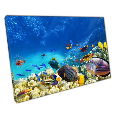 Coral Reef Sea Floor Vibrant Colourful Fish And Sea Life Lively Underwater Wall Art Print On Canvas Picture For Home Office Decor