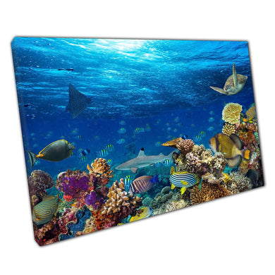 Lively Coral Reef Bustling Sea Life Shark Sting Ray Tropical Fish Sea Turtle Ocean Wall Art Print On Canvas Picture For Home Office Decor