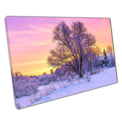 Early Morning Sun Rising Over Purple Toned Snow Covered Woodland Forest Seasonal Wall Art Print On Canvas Picture For Home Office Decor