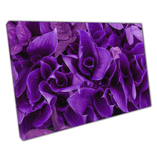 Load image into Gallery viewer, Beautiful Abstract Composition Of Vibrant Shades Of Purple Leaves Exotic Tropical Wall Art Print On Canvas Picture For Home Office Decor
