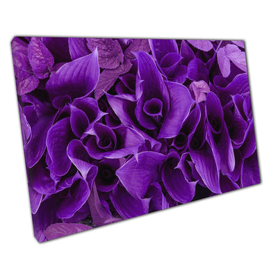 Beautiful Abstract Composition Of Vibrant Shades Of Purple Leaves Exotic Tropical Wall Art Print On Canvas Picture For Home Office Decor