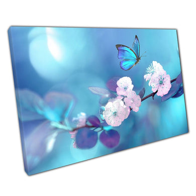 Curious Blue Butterfly Exploring Branch Of Apricot Plum Blossoms Floral Photography Wall Art Print On Canvas Picture For Home Office Decor