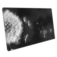 Load image into Gallery viewer, Seeds Flying Away From Wild Fluffy Dandelion Head Calm Nature Greyscale Photography Wall Art Print On Canvas Picture For Home Office Decor
