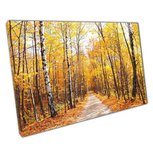 Laad de afbeelding in galerijviewer, Calming Woodland Forest Walk Through Maple And Birch Trees Autumnal Golden Tones Wall Art Print On Canvas Picture For Home Office Decor
