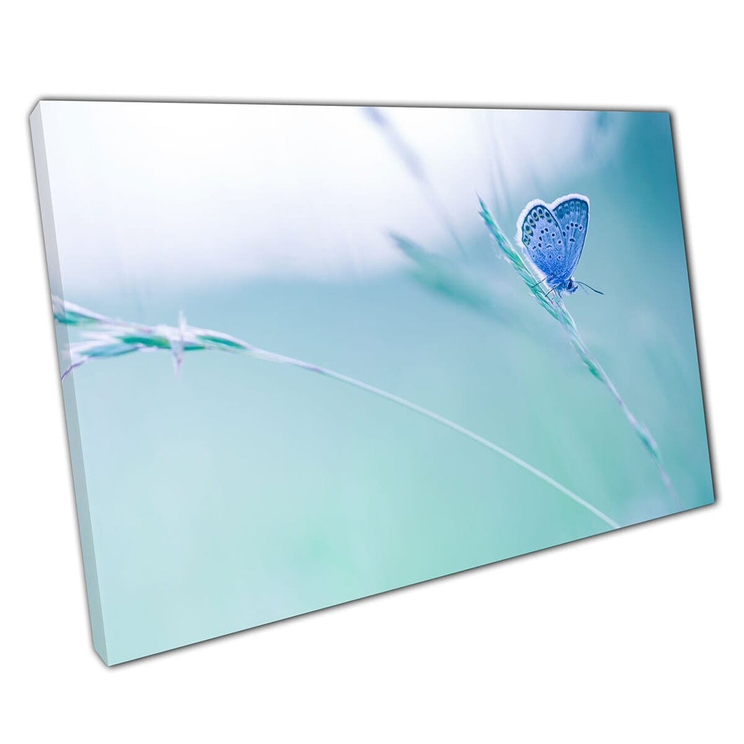 Beautiful Pastel Blue Butterfly Resting On A Plant In A Quiet Summer Meadow Nature Wall Art Print On Canvas Picture For Home Office Decor