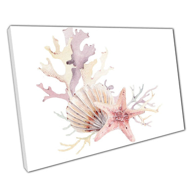 Beautiful Delicate Sea Shell Coral And Starfish Pink Beige Purple Watercolour Ink Wall Art Print On Canvas Picture For Home Office Decor