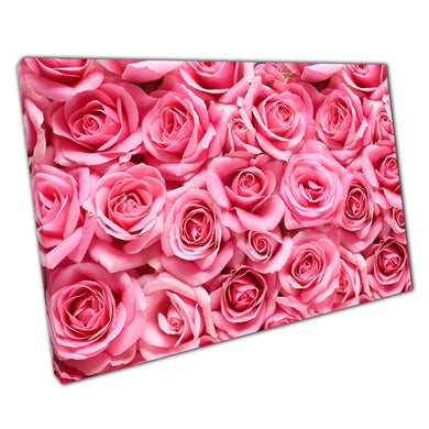 Beautiful Selection Of Soft Bubble-gum Pink Roses In Bloom Romantic Floral Valentine Wall Art Print On Canvas Picture For Home Office Decor