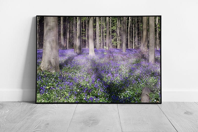 Blooming Meadows forest of purple bluebells Ready to Hang Wall Art Print Framed Picture print