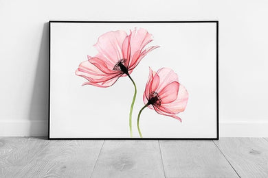 Beautiful Delicate Blush Pastel Pink Watercolour Ink Painting Style Flowers Minimal Wall Art Print on Paper Framed Picture print