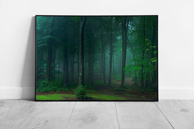 Foggy Spooky Fairy-tale Forest Woodland In The Morning Wall Art Print on Paper Framed Picture print