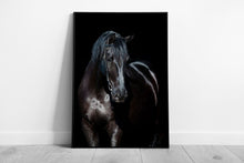 Laden Sie das Bild in Galerie -Viewer, large beautiful Black horse Animal Art Ready to Hang Wall Art Print Framed Picture print
