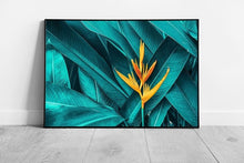 Laad de afbeelding in galerijviewer, Colourful Exotic Yellow Flower On Dark Teal Foliage Wall Art Print on Paper Framed Picture print
