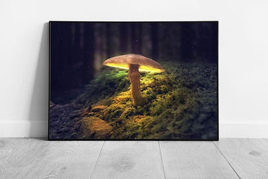 Magical Fantasy Glowing Mushroom In A Dark Woodland Wall Art Print on Paper Framed Picture print