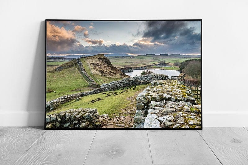 Hadrian's Wall east of Cawfield Quarry Northumberland Ready to Hang Wall Art Print Framed Picture print