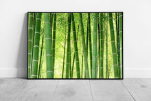 Laad de afbeelding in galerijviewer, Fresh Vibrant Green Bamboo Forest In Japan On A Bright Sunny Day Wall Art Print on Paper Framed Picture print
