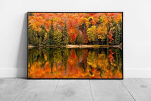 Load image into Gallery viewer, Autumnal Woodland Reflected In Canisbay Lake Algonquin Provincial Park Ontario Canada Wall Art Print on Paper Framed Picture print
