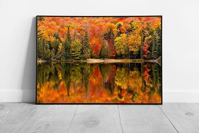 Autumnal Woodland Reflected In Canisbay Lake Algonquin Provincial Park Ontario Canada Wall Art Print on Paper Framed Picture print