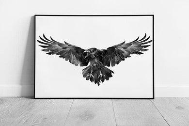 Flying Wild Raven Crow Illustration Wall Art Print on Paper Framed Picture print