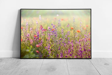 Butterfly In Pink Purple Spring Flower Meadow Wall Art Print on Paper Framed Picture print