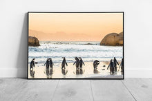 Load image into Gallery viewer, African Penguins On A Sandy Beach Approaching The Water Cape Town South Africa Wall Art Print on Paper Framed Picture print
