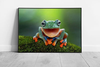 Happy Tree Frog Perched On A Mossy Rock Laughing Funny Nature Wild Animal Photography Wall Art Print on Paper Framed Picture print